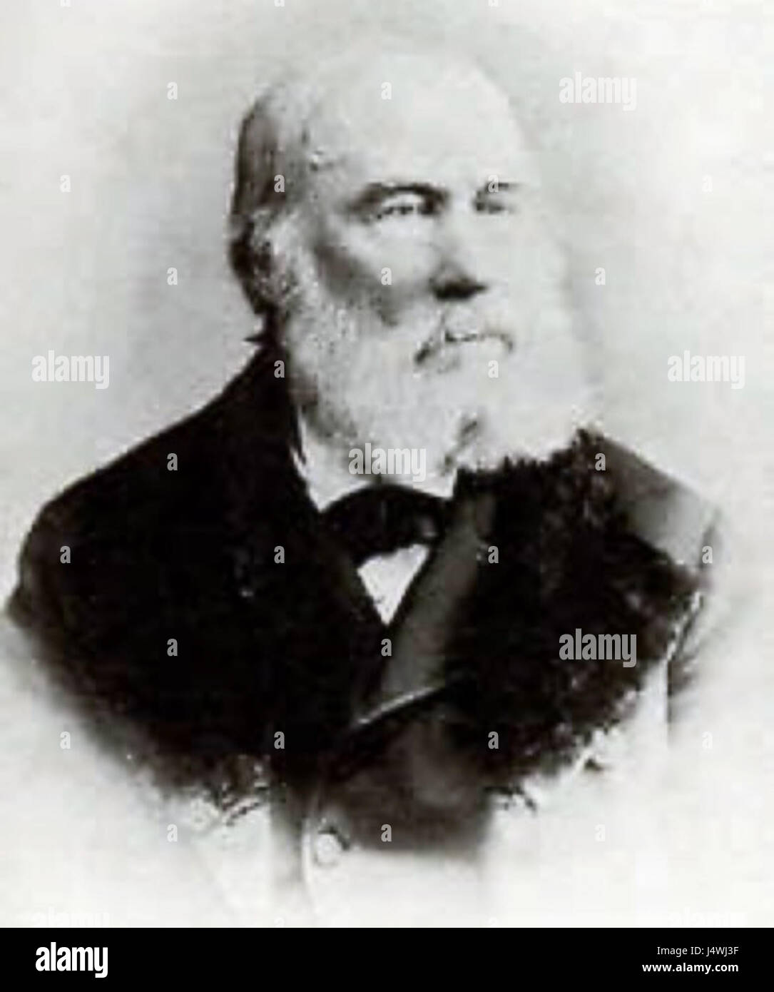 Walter Hood Fitch war ein britischer botanischer Illustrator, der für seine detaillierten und genauen Darstellungen von Pflanzen, insbesondere von Orchideen, bekannt war. Seine Arbeiten trugen wesentlich zur botanischen Forschung und zur Pflanzenidentifizierung im 19. Jahrhundert bei. Stockfoto