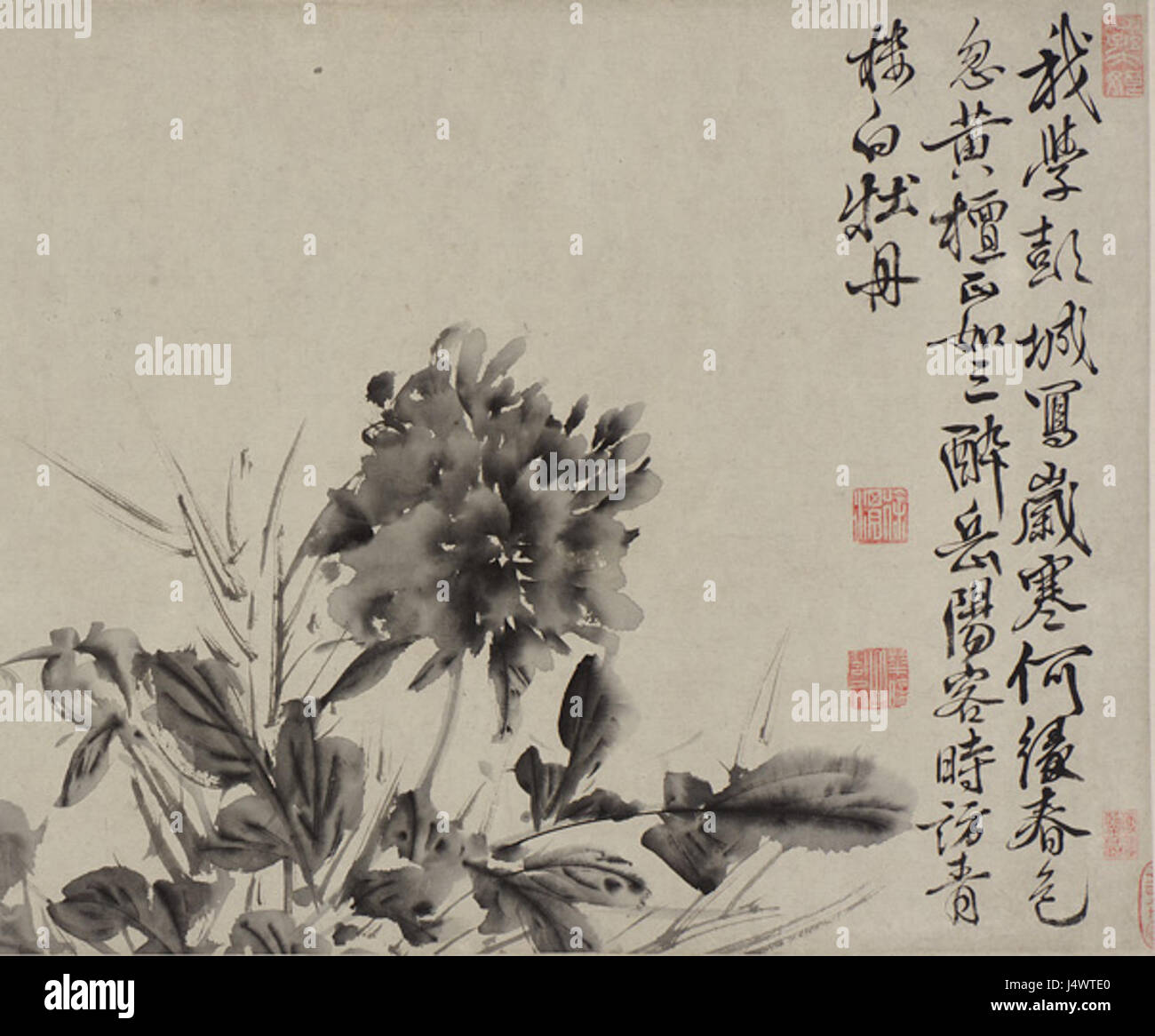 Zwölf Blumen und Gedichte F1954.8 Xu Wei Stockfoto