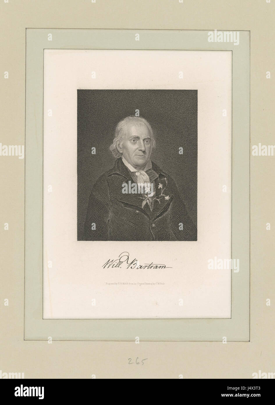 Dieses Bild zeigt das Werk von William Bartram, einem amerikanischen Naturforscher und Illustrator. Seine Beiträge zur Erforschung der amerikanischen Flora und Fauna waren im späten 18. Jahrhundert einflussreich. Stockfoto
