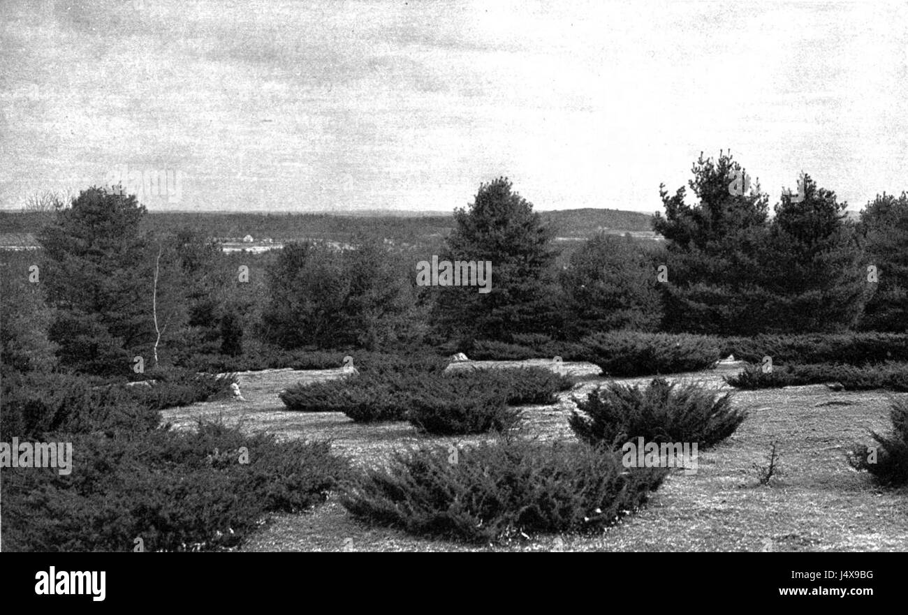 Schriften von Henry David Thoreau (1906) Volumen 7 DjVu Pg 165 Stockfoto