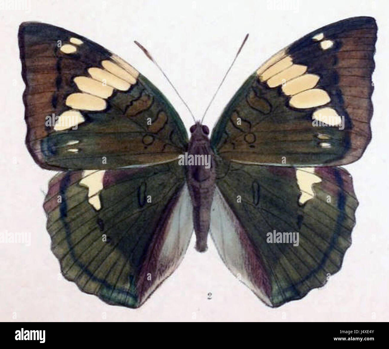 ZalapiaTaooana243 scheint ein Code oder eine Referenz zu sein, die sich wahrscheinlich auf einen bestimmten Ort oder ein Objekt mit unklaren Details bezieht. Stockfoto