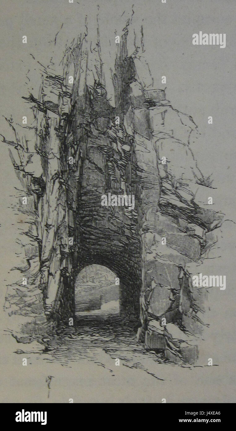 „The Channel Islands“ ist eine umfassende Studie von David Thomas Ansted und Robert Gordon Latham aus dem Jahr 1862 mit Illustrationen von Paul J. Naftel. Die erste Ausgabe umfasst ein Frontstück, eine Faltkarte, 59 in-Text-Illustrationen und 16 Pläne und Diagramme. Es umfasst die physische Geographie, Naturgeschichte, Archäologie und Sprache der Inseln. Veröffentlicht von W.H. Allen & Co. In London. Stockfoto