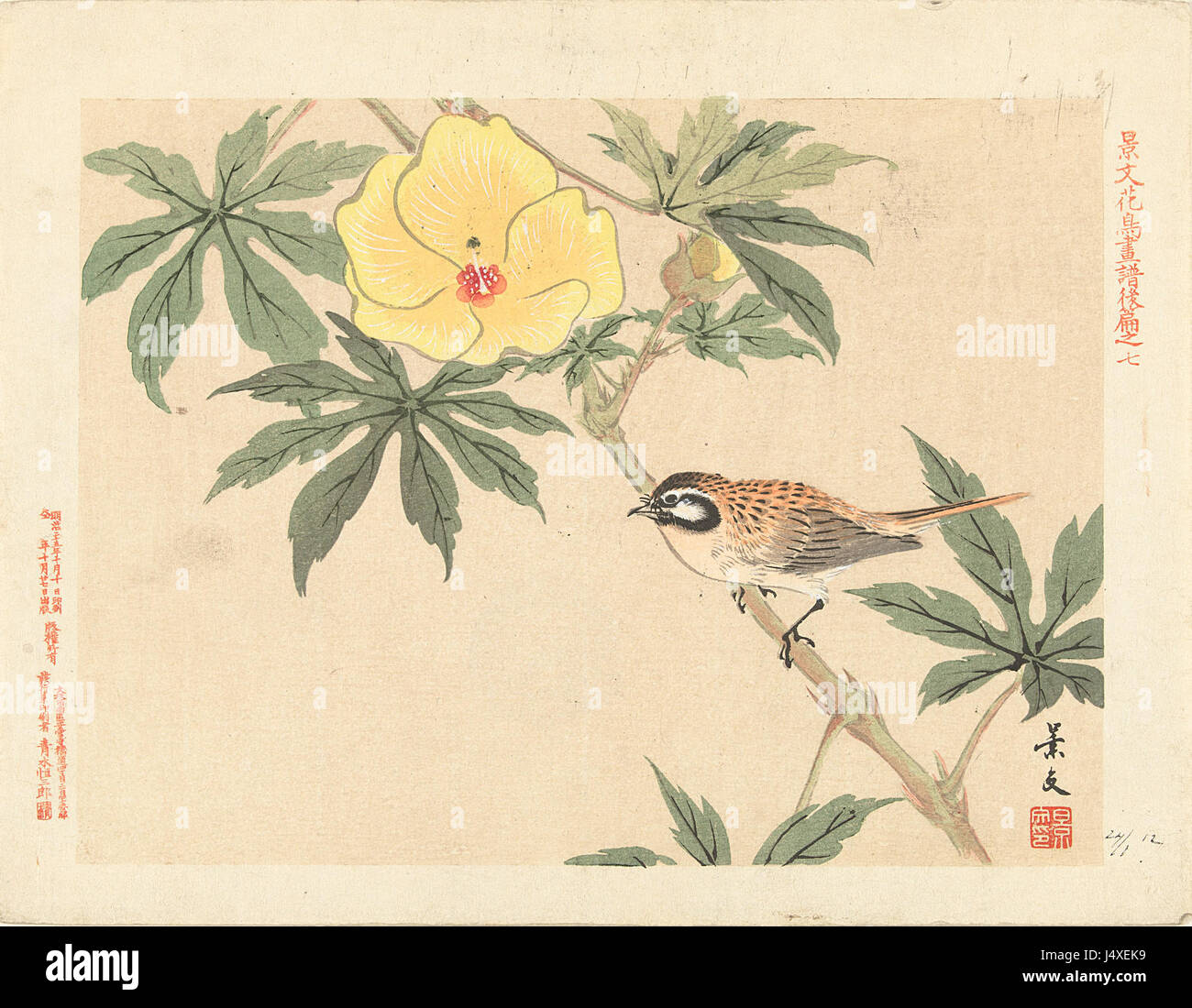 Dieses Gemälde mit dem Titel „Vogel op tak met gele Bloem“ wird im Rijksmuseum ausgestellt. Es zeigt einen Vogel auf einem Zweig mit einer gelben Blume, der die Schönheit der Natur in einer zarten Komposition einfängt. Das Kunstwerk spiegelt eine präzise Beobachtung der Flora und Fauna wider, wobei ein besonderer Schwerpunkt auf der natürlichen Welt liegt. Die Verwendung von Farben und Details unterstreicht die Beherrschung des Künstlers in der botanischen Darstellung und Tierwelt. Stockfoto