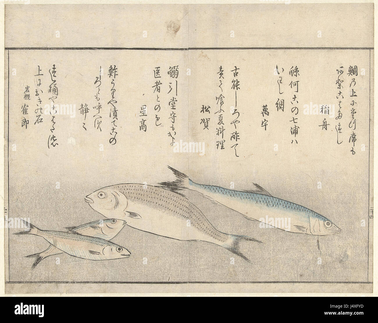 Ein Gemälde mit dem Titel „vier Vissen“, das im Rijksmuseum untergebracht ist und vier Fische zeigt, die die holländische Meisterschaft im Stillleben und in den Naturwissenschaften zeigen. Stockfoto