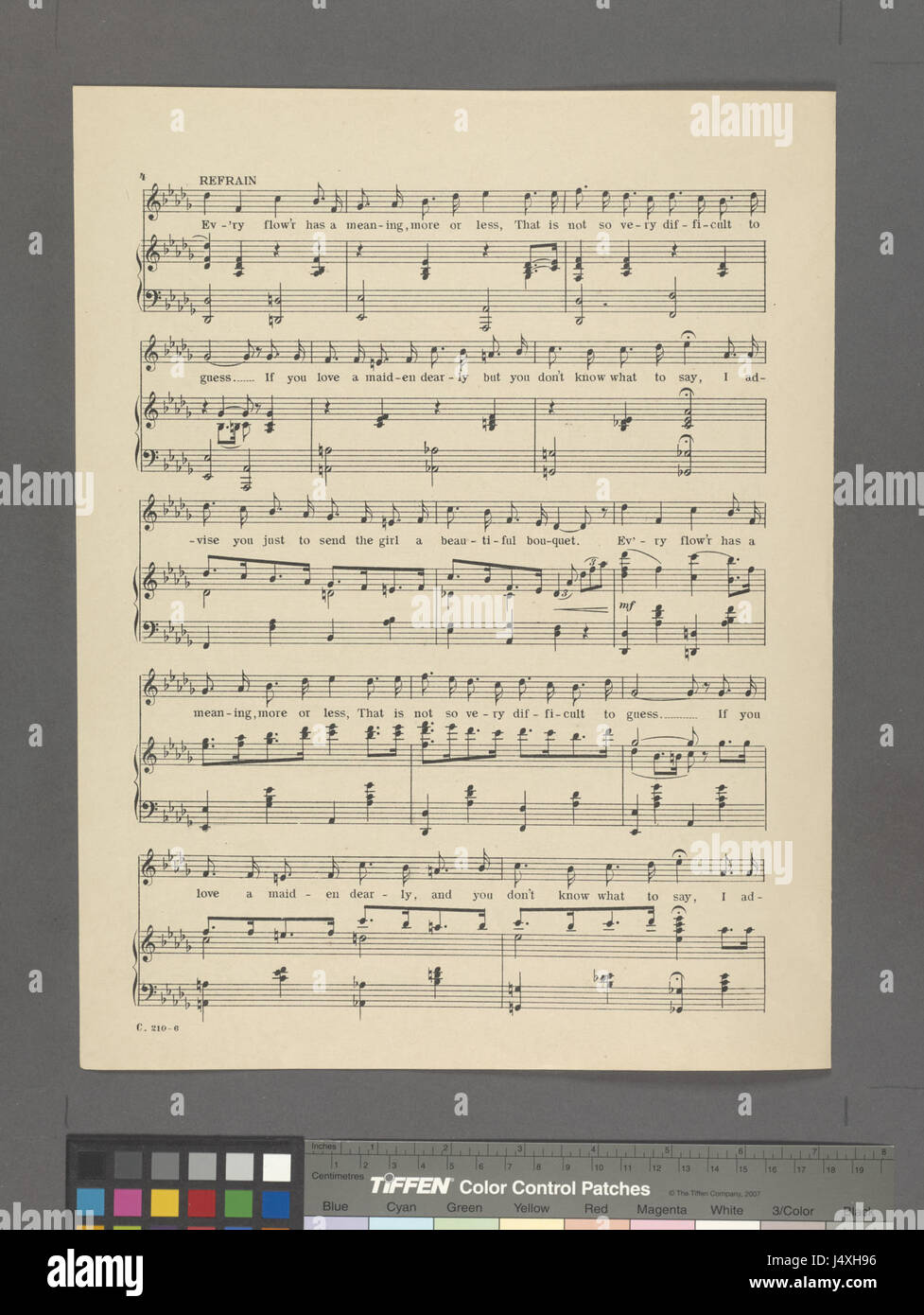 Die Sprache der Blumen (NYPL Hades 1928776 1970500) Stockfoto