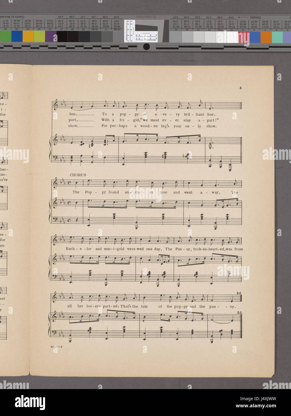 Dieses Bild zeigt eine botanische Illustration eines Mohns und eines Stiefmütterchens, die in komplizierten Details aufgenommen wurden. Die Darstellung hebt die lebendigen Farben und die Besonderheiten jeder Blume hervor und zeigt ihre Bedeutung für Pflanzenstudien und Kunst. Stockfoto