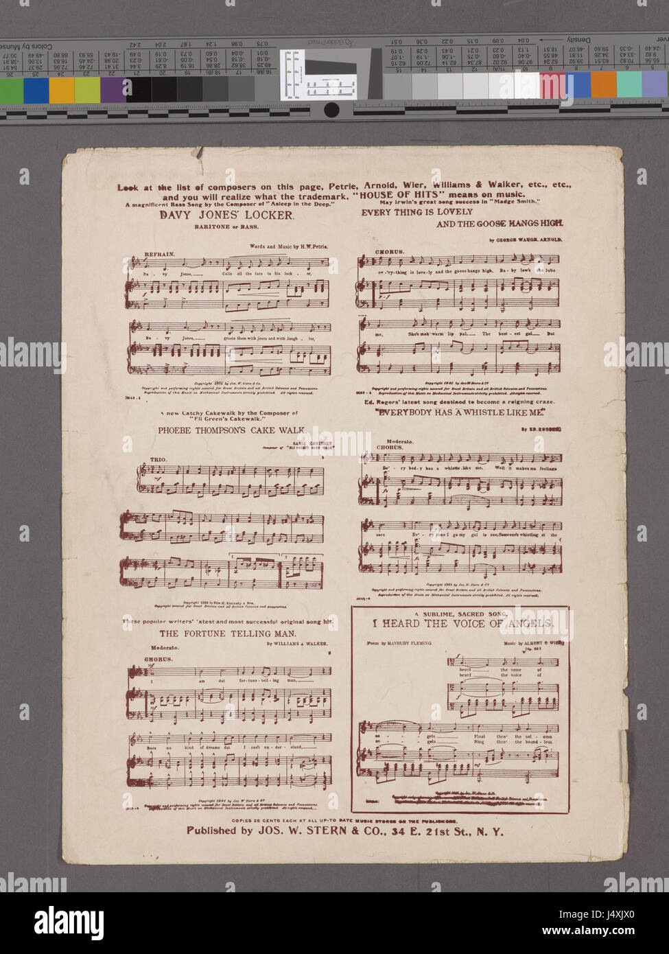 Eine botanische Illustration mit dem Titel „The Poppy and the Pansy“ in der Sammlung der New York Public Library. Das Kunstwerk zeigt zwei unterschiedliche Blumen in leuchtenden Farben und zeigt ihre Schönheit und botanische Details. Stockfoto