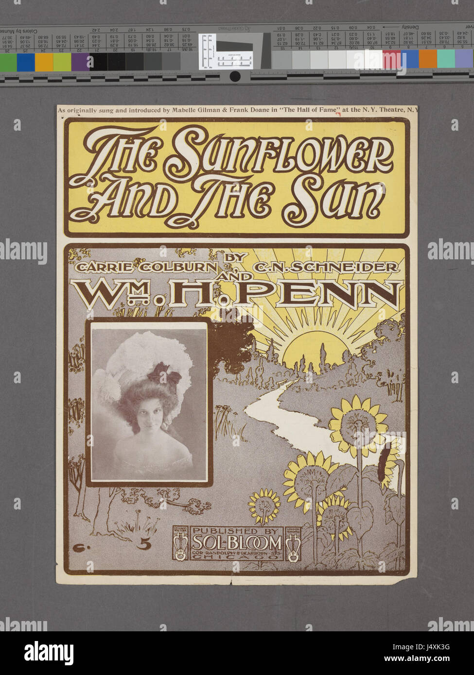 Diese Illustration mit dem Titel „die Sonnenblume und die Sonne“ ist Teil der Sammlung der New York Public Library (NYPL). Das Kunstwerk zeigt eine Sonnenblume in Bezug auf die Sonne, symbolisiert die Verbindung zwischen Natur und Himmelskörpern und zeigt lebendige botanische Kunst. Stockfoto