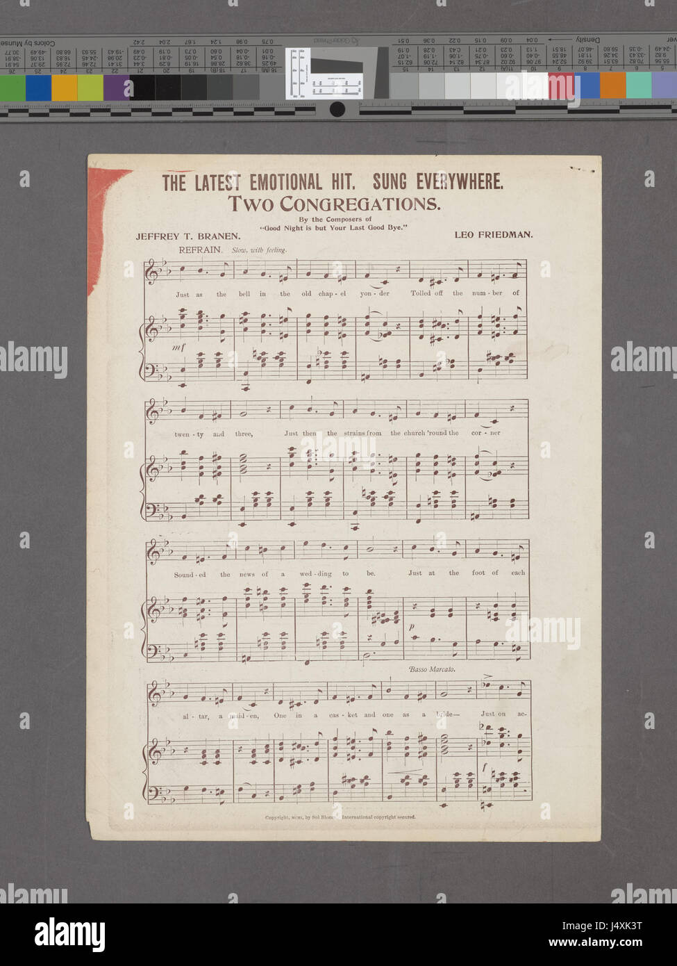 Die Sonnenblume und die Sonne ist eine lebendige Darstellung der Beziehung zwischen Natur und Licht, die die Verbindung zwischen diesen beiden Elementen durch visuelle Kunst erforscht. Stockfoto