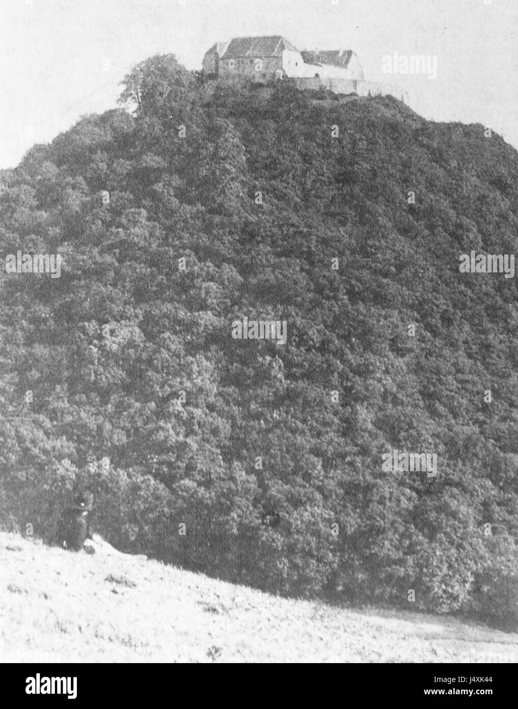 Die Wachsenburg ist eine mittelalterliche Burg in Deutschland, deren Geschichte bis ins 11. Jahrhundert zurückreicht. Die Referenz von 1893 deutet auf ein historisches Bild oder eine Dokumentation der Burg aus dem späten 19. Jahrhundert hin. Stockfoto