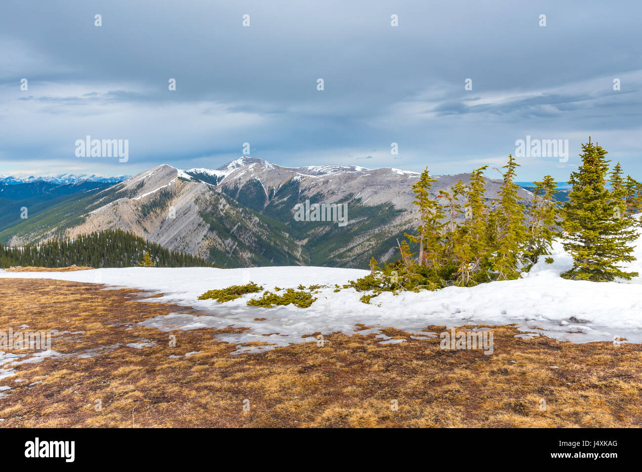 Einen herrlichen Blick auf den Osthängen der kanadischen Rocky Mountains Alberta Kanada im Frühling Stockfoto