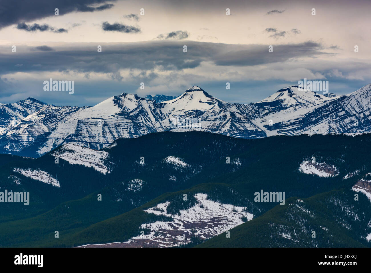 Einen herrlichen Blick auf den Osthängen der kanadischen Rocky Mountains Alberta Kanada im Frühling Stockfoto