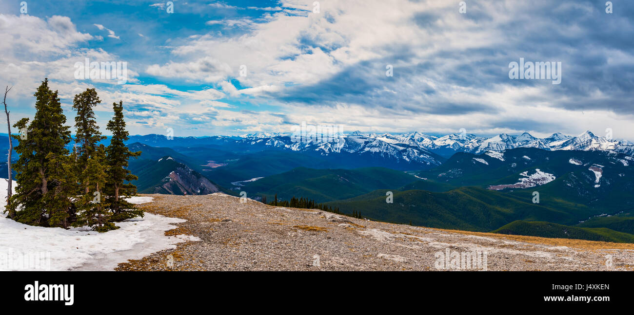 Einen herrlichen Blick auf den Osthängen der kanadischen Rocky Mountains Alberta Kanada im Frühling Stockfoto