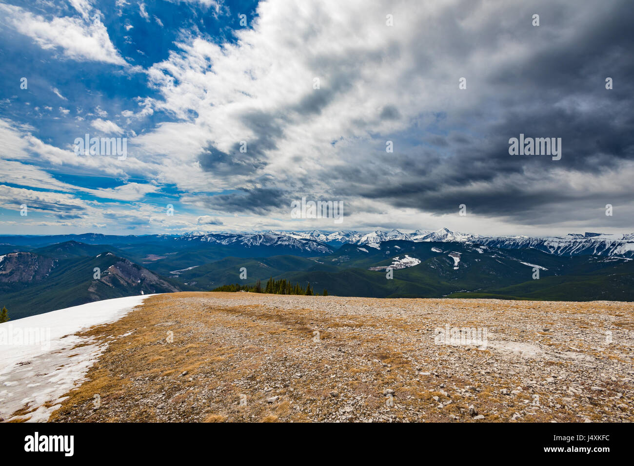 Einen herrlichen Blick auf den Osthängen der kanadischen Rocky Mountains Alberta Kanada im Frühling Stockfoto