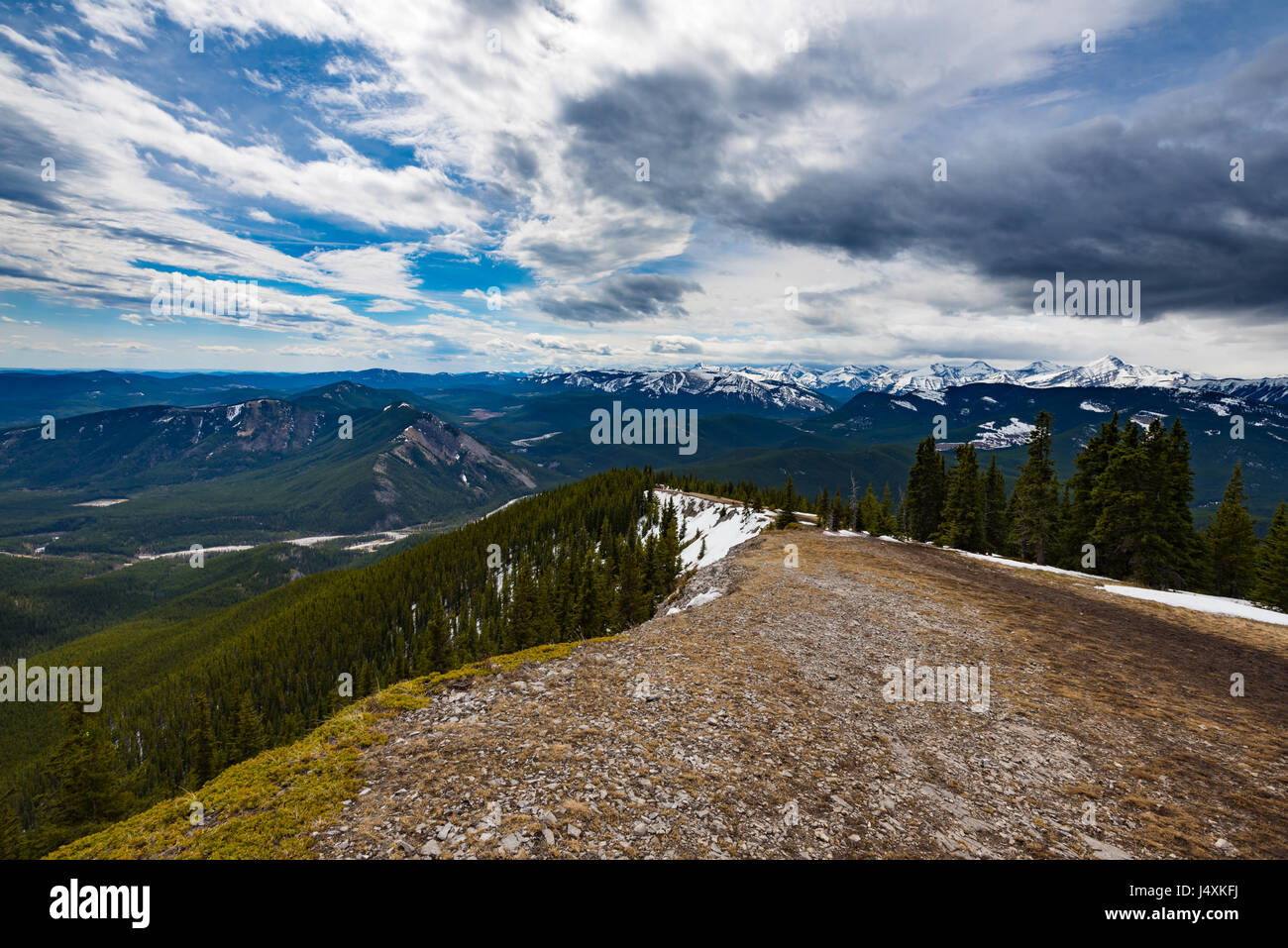 Einen herrlichen Blick auf den Osthängen der kanadischen Rocky Mountains Alberta Kanada im Frühling Stockfoto