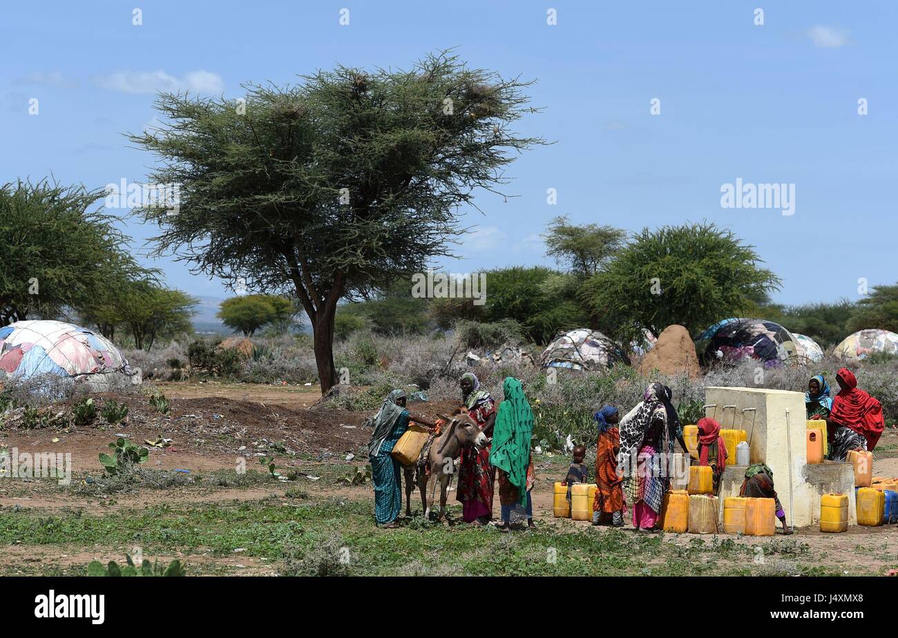Frauen und Kinder sammeln Wasser in das Dorf Afraaga, Somaliland, wo Charity CARE International einen Speichertank gebaut und installiert haben Rohrleitungen und Armaturen um Dorfbewohner Zugriff auf sauberes Wasser aus einem nahe gelegenen Bohrloch. Stockfoto