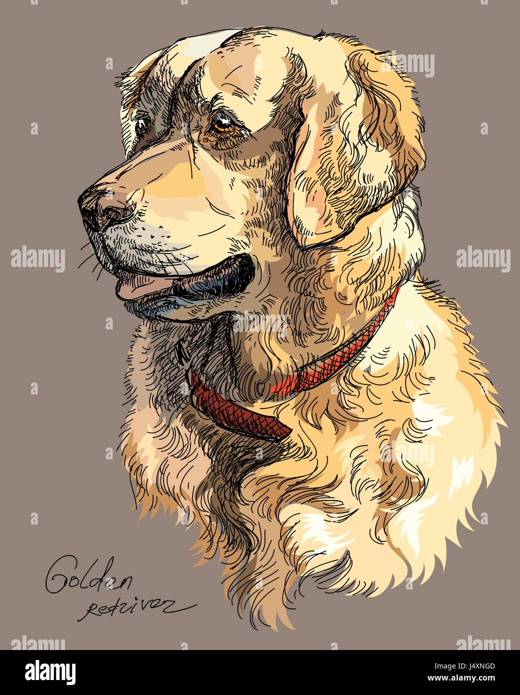 Vektor-Porträt der bunte Hund Golden Retriever hand Zeichnung Illustration auf braunem Hintergrund Stock Vektor