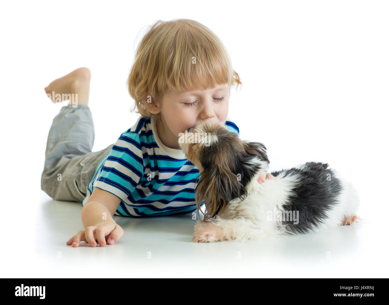 Kind junge küssen Hündchen. Isoliert auf weißem Hintergrund. Stockfoto