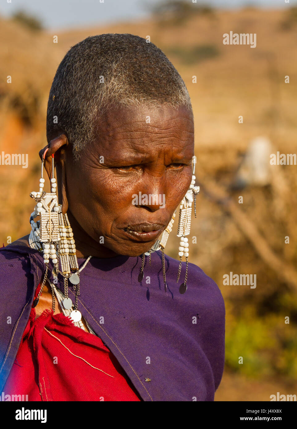 KILIMANJAR0, Tansania-Afrika - 21 Juli - Massai-Frau zeigt ihren Rang im Dorf durch das tragen zahlreiche Ohrringe am 21. Juli 2011, im Vorgebirge Stockfoto
