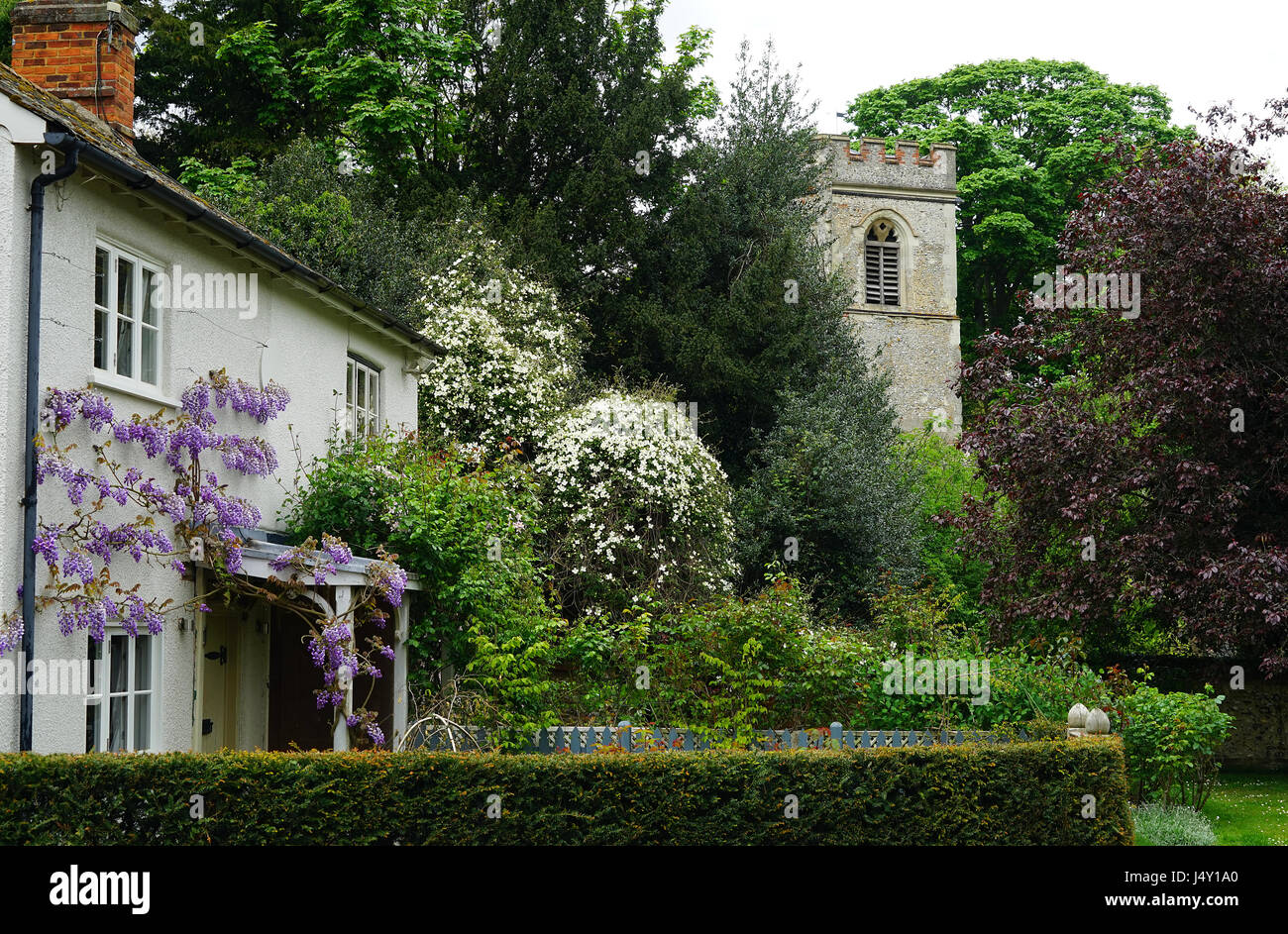 Ruinen Cottages und die alte Ruine Kirche in Ayot St. Lawrence Stockfoto