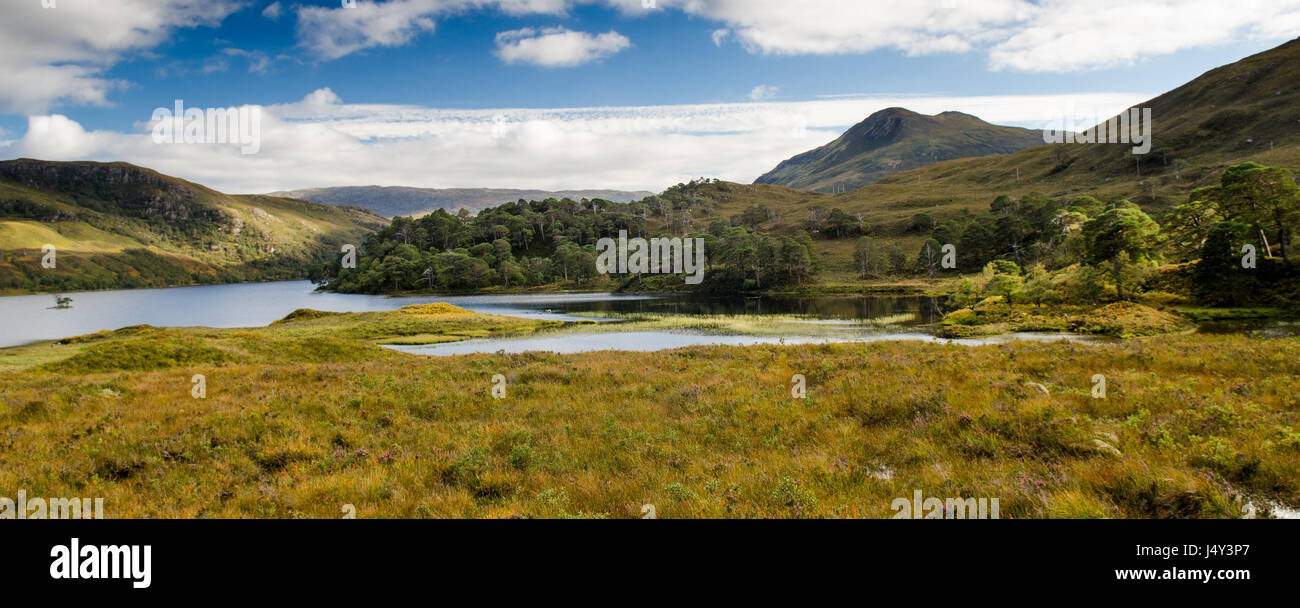 Die Berge der Torridon Hügel erheben sich von Loch Clair im Tal von Glen Torridon in den North West Highlands von Schottland. Stockfoto