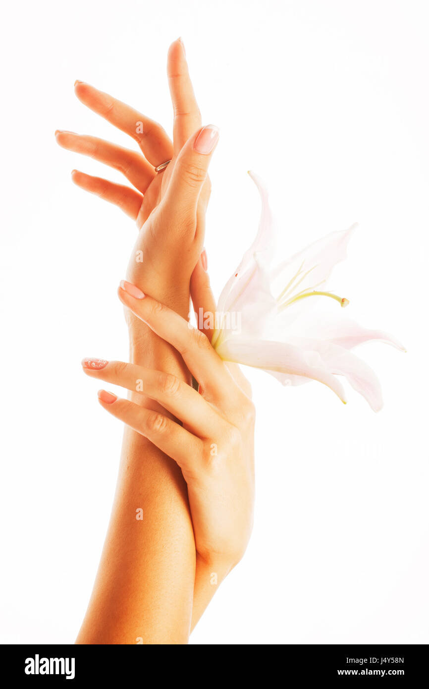 Nahaufnahme Schönheit zarte Hände mit Maniküre hält Blume Lilie isoliert auf weiss Stockfoto