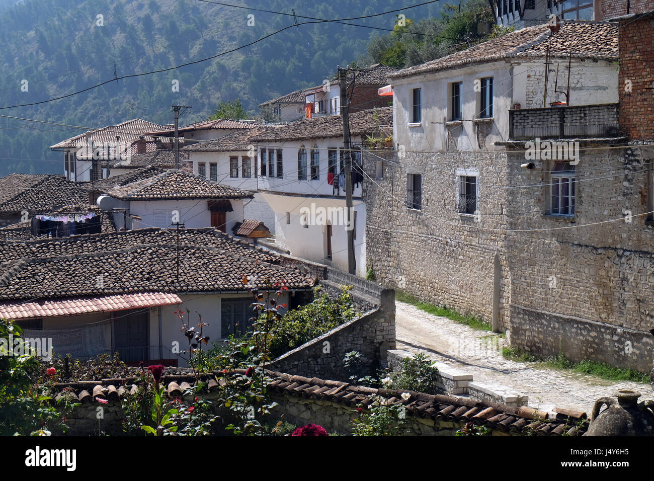 Traditionellen osmanischen Häuser in der alten Stadt Berat, bekannt als die weiße Stadt von Albanien Stockfoto