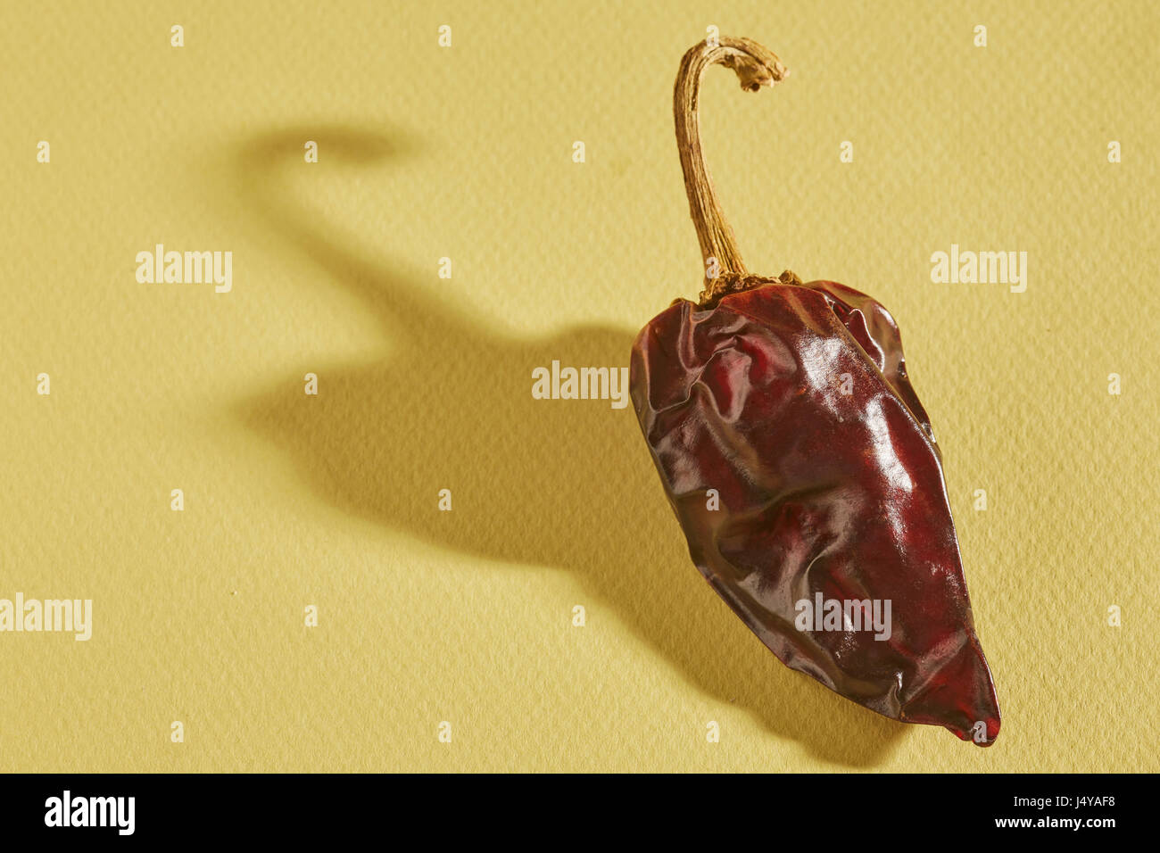 Ganzes getrocknet, geröstet, Mesilla Chili pod Stockfoto