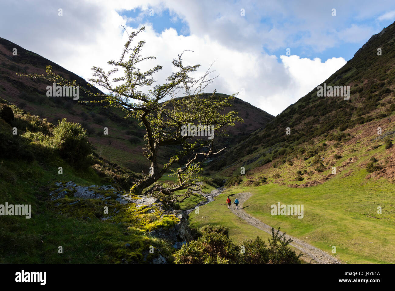 Kardieren Mill Valley, Shropshire im Vereinigten Königreich Stockfoto