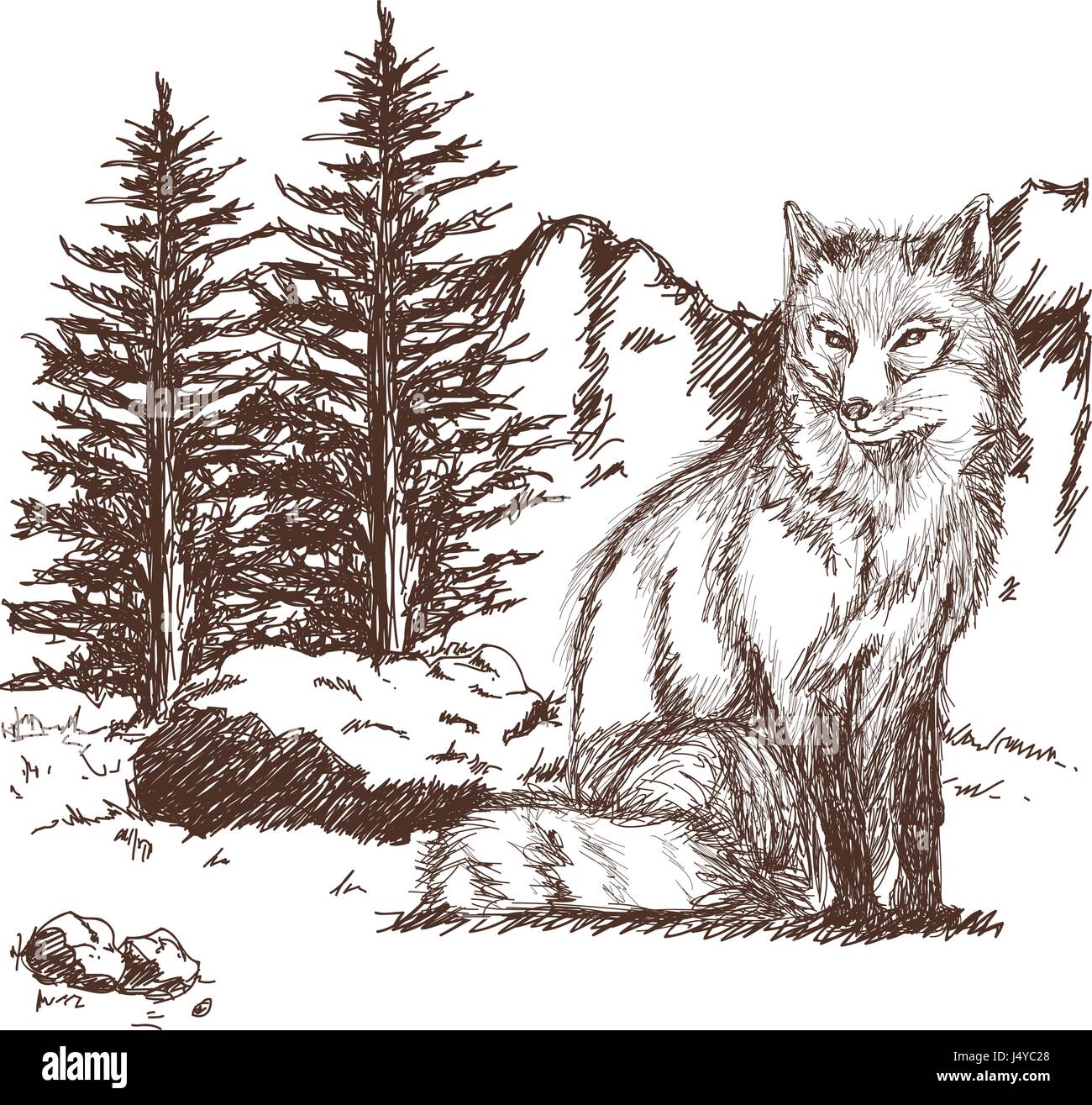 Wolf Tierwelt Tier Bild Ist Von Hand Gezeichnet Bleistiftskizze Von Wolf Landschaft Stock Vektorgrafik Alamy