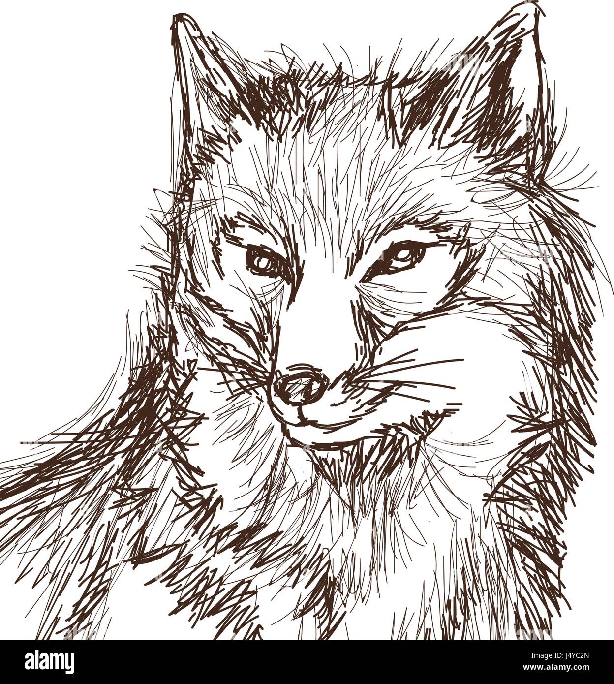 Wolf Tierwelt Tier Bild Ist Von Hand Gezeichnet Portrat Bleistift Skizze Von Wolf Stock Vektorgrafik Alamy