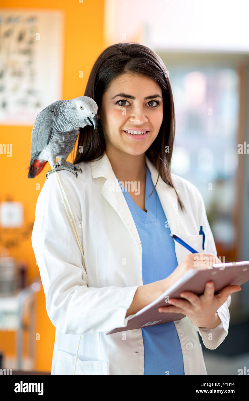 Porträt des jungen schönen Tierarzt Klinik Stockfoto