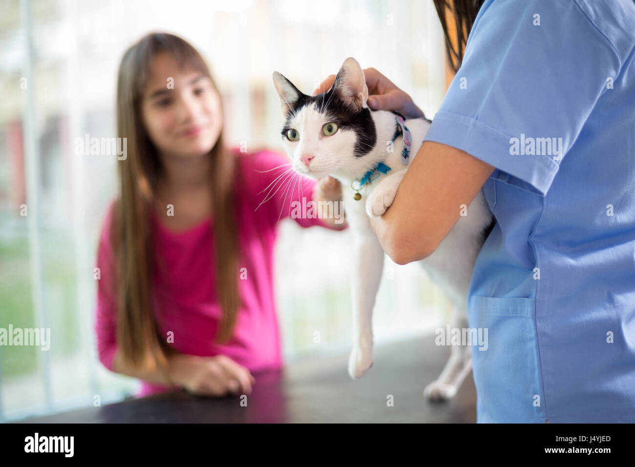 Süße Mädchen, die ihre Katze zum medizinischen Check in Tierklinik gebracht Stockfoto