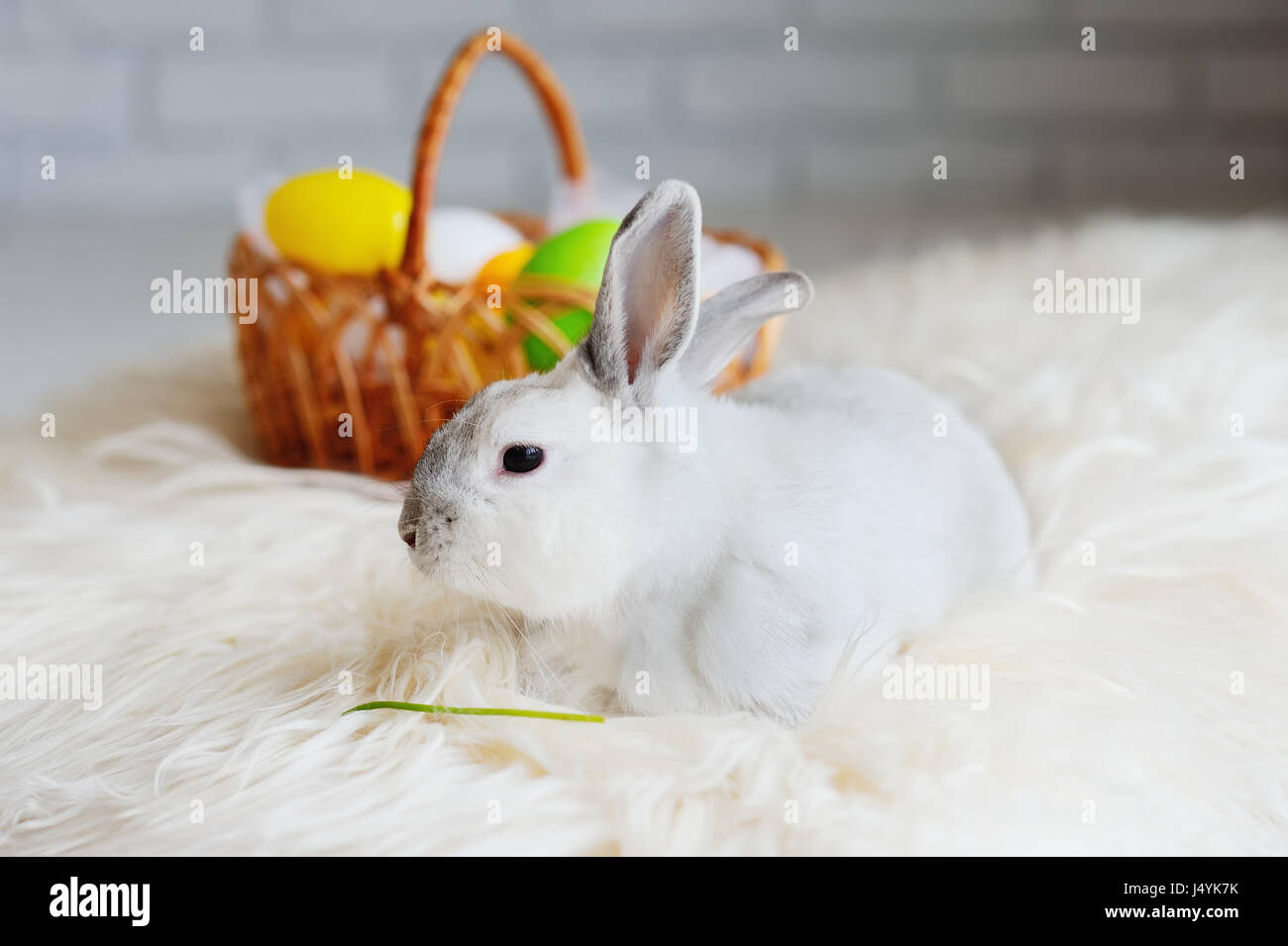 Auf einem Hintergrund von farbigen Ostereier Osterhase Stockfoto