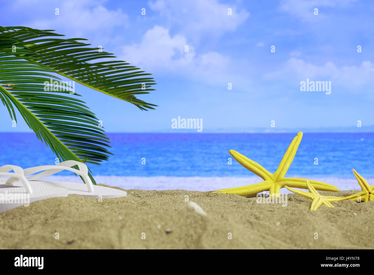 Sommer Ferien - Flip-Flops und Seesterne am Sandstrand Stockfoto