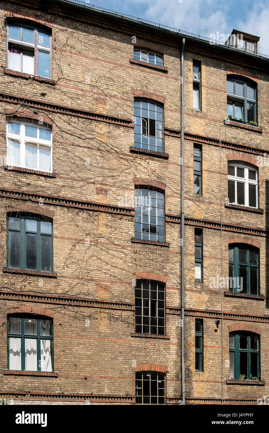 Garten und Fassade der alten Gebäude in Berlin Stockfoto