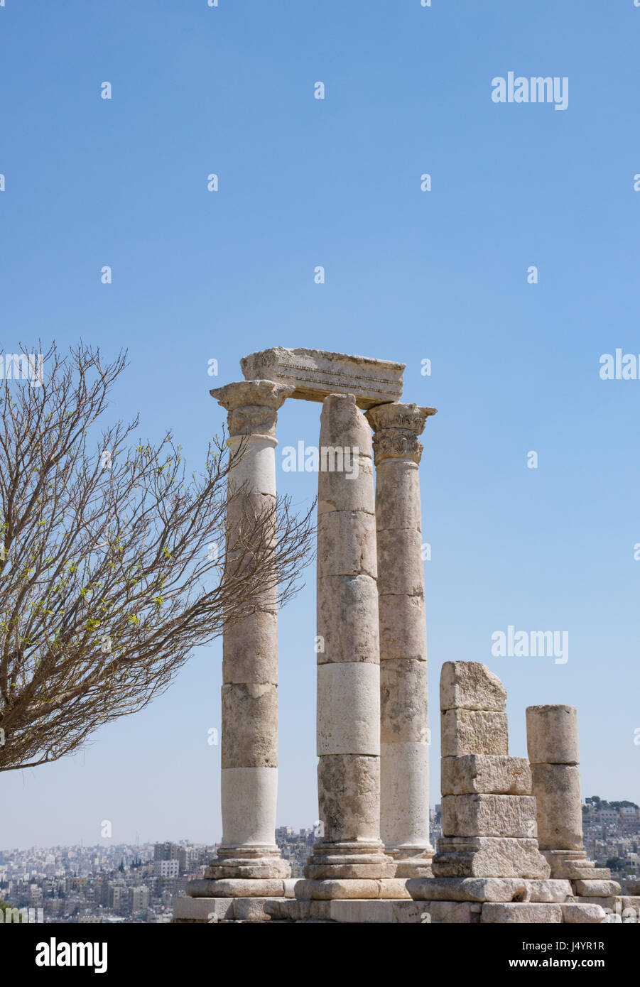Die alten römischen Tempel des Herkules mit Säulen und geschnitzten Kapitellen auf der Zitadelle gegen einen tiefen blauen wolkenlosen Himmel mit einem Ast vor. Stockfoto
