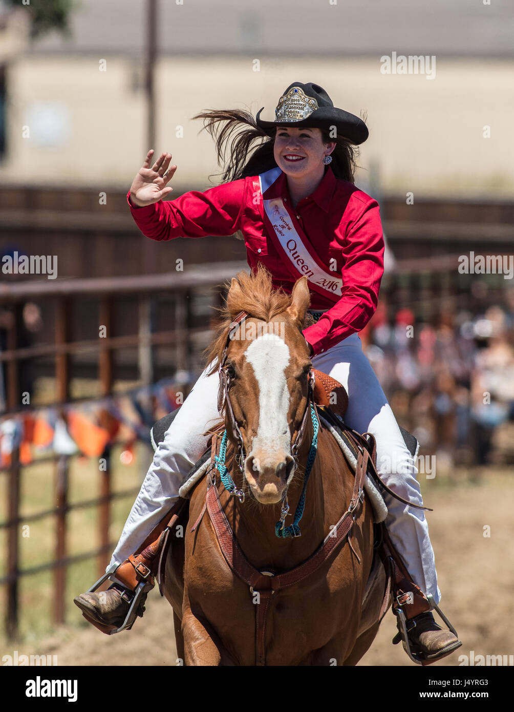 Drill Team Cowgirl reitet in die Arena an der Cottonwood-Rodeo in Kalifornien Stockfoto