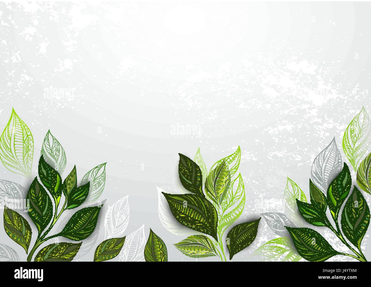 Grau, Blätter strukturierten Hintergrund mit grünem Tee. Tee-Design. Stock Vektor