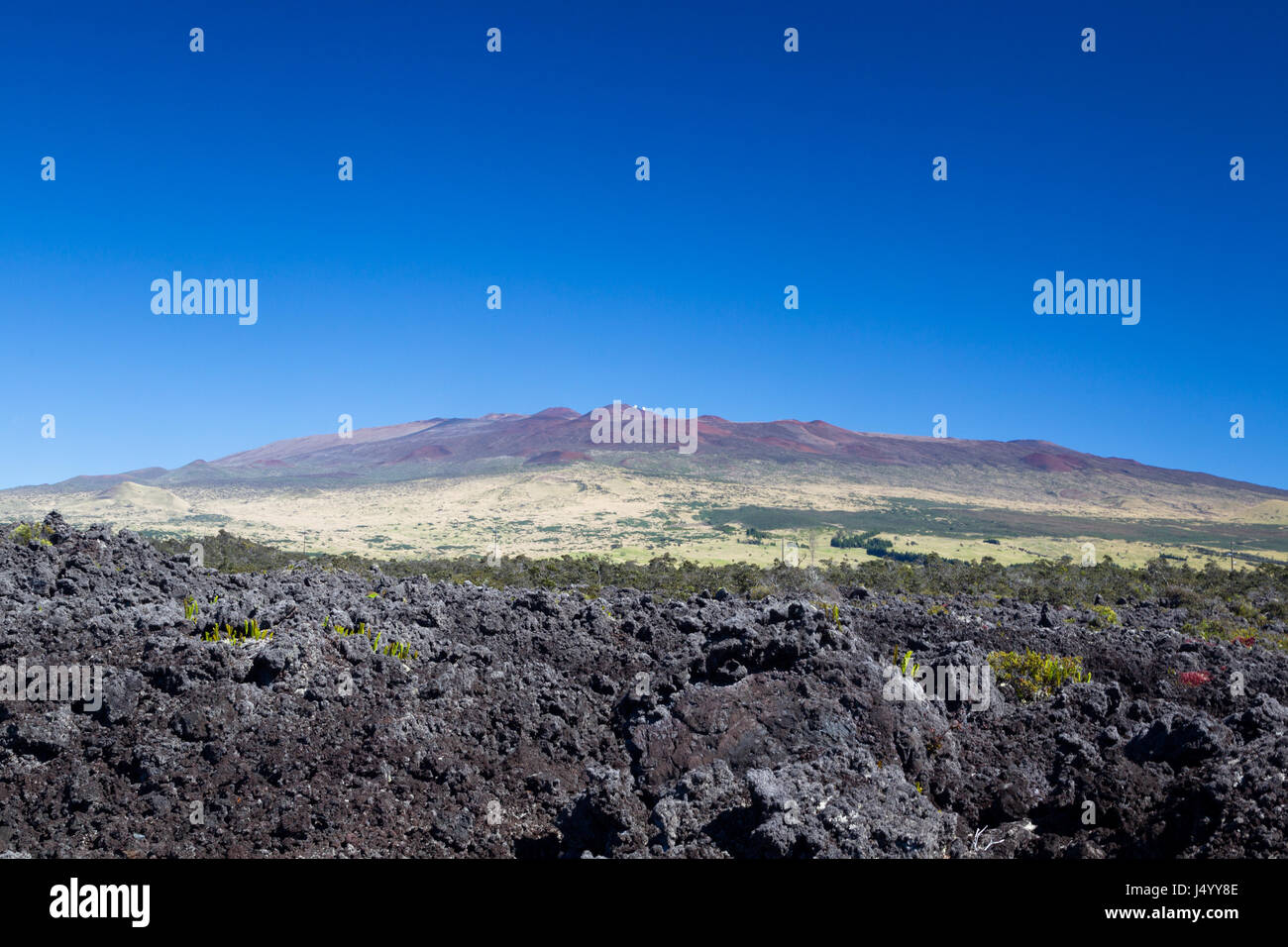 Mauna Kea auf Big Island, Hawaii, USA, an einem wolkenlosen Tag. Stockfoto