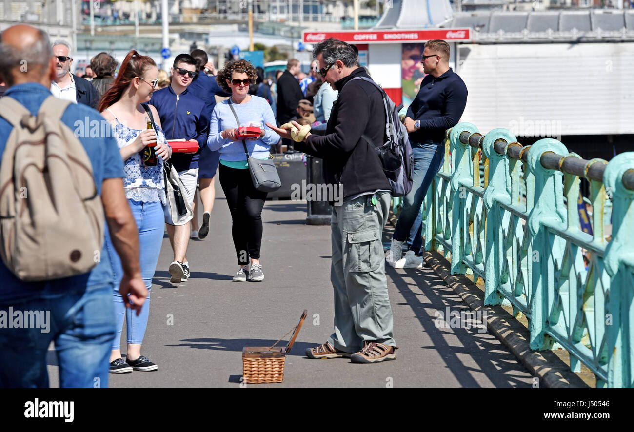 Brighton, UK. 14. Mai 2017. Ein Mann zeigt eine Frau, eine Schlange auf Brighton Seafront während einer warmen sonnigen Nachmittag Credit: Simon Dack/Alamy Live News Stockfoto
