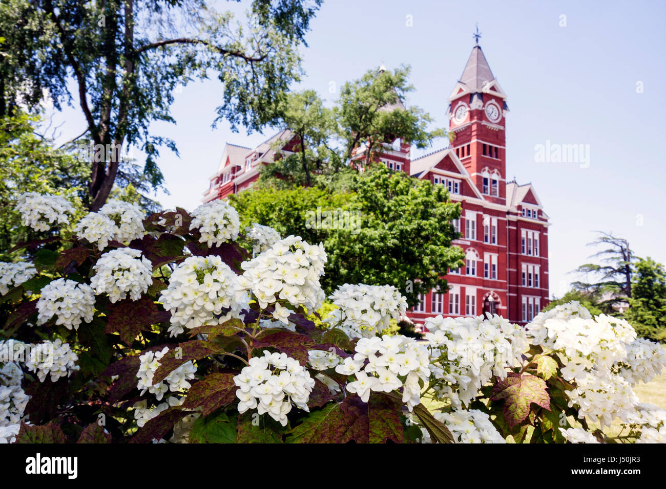 Auburn Alabama, Auburn University, Campus, Samford Hall, Clock Tower, Verwaltungsgebäude, Campus, Hochschulbildung, Tradition, Wissenschaft, Southeastern Confe Stockfoto