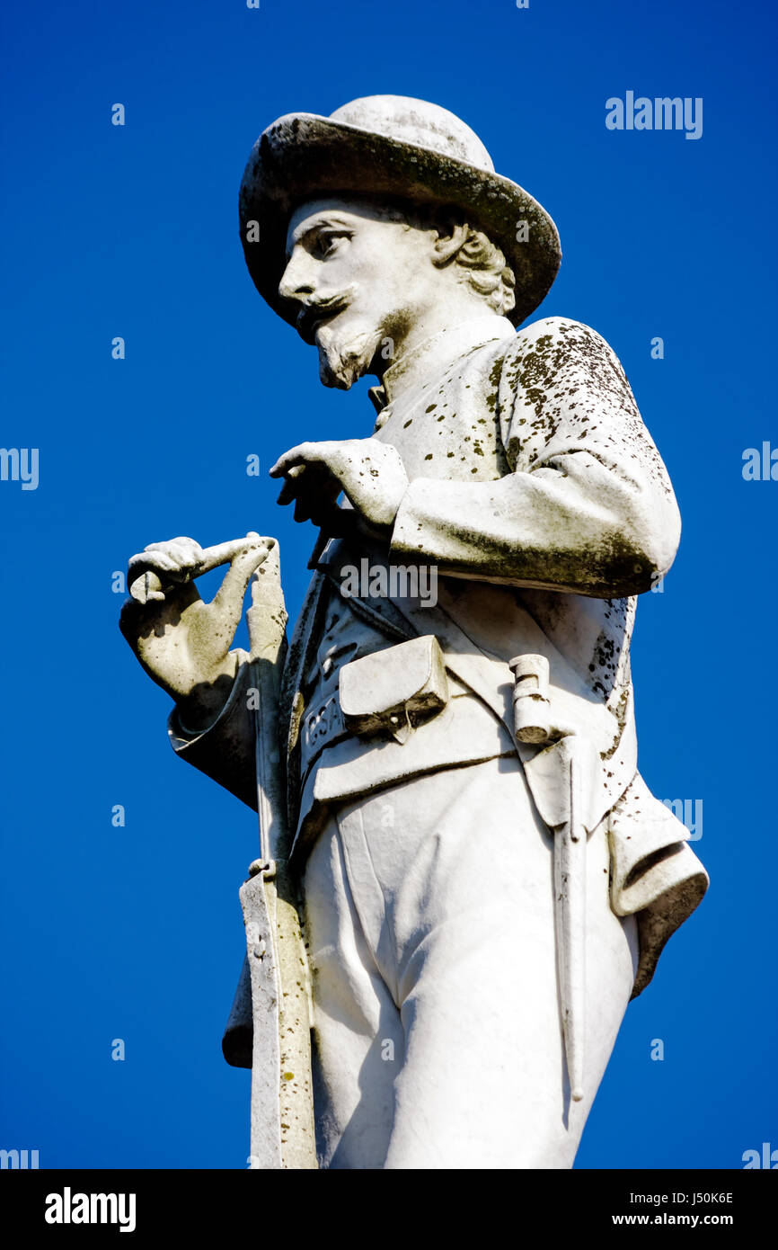 Alabama, Pike County, Troy, Confederate Soldier Memorial, Statue, Bürgerkrieg, Geschichte, Ehre, Süden, Tapferkeit, AL080518058 Stockfoto