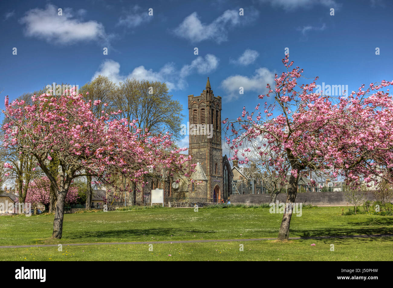 Mit Blick auf die Fullarton (ehemals St. Andrews Church) mit Kirschblüten im Lochside Park, Castle Douglas, Dumfries and Galloway, Schottland. Stockfoto