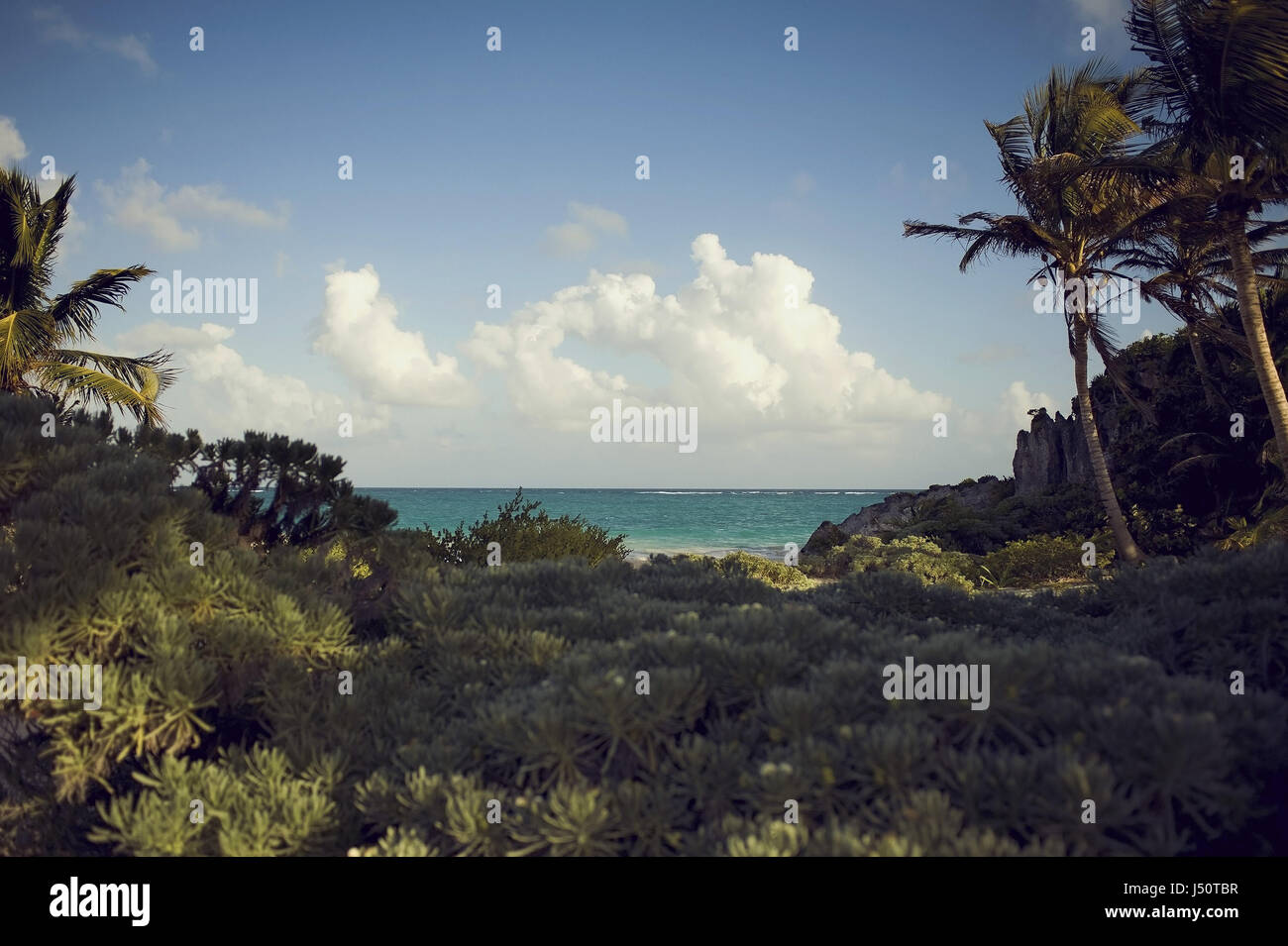 mexikanischen Strand in tulum Stockfoto