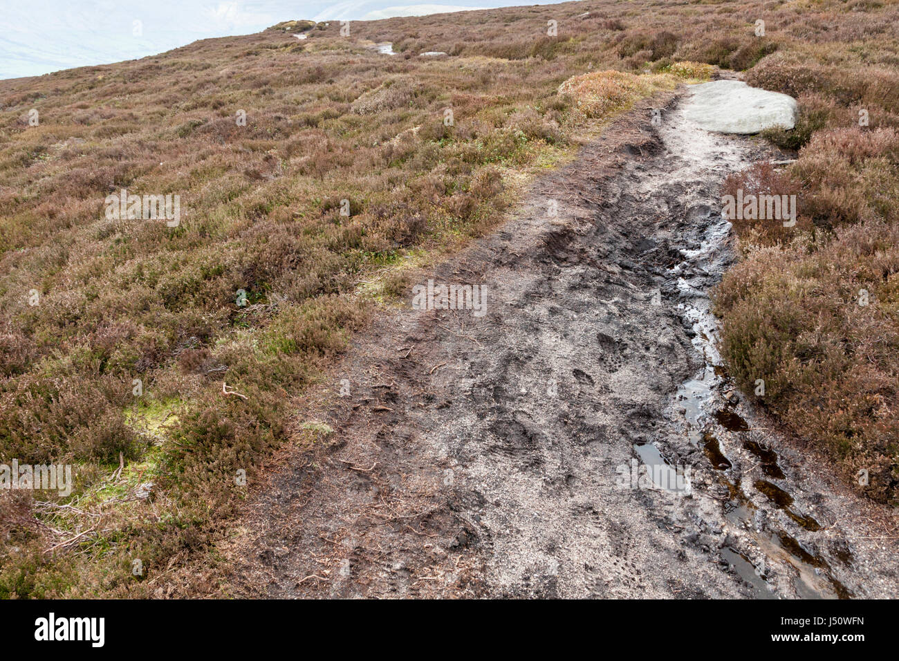 Nasse Heide Pfad mit bootprints am südlichen Rande des Kinder Scout, Derbyshire Peak District National Park, England, Großbritannien Stockfoto