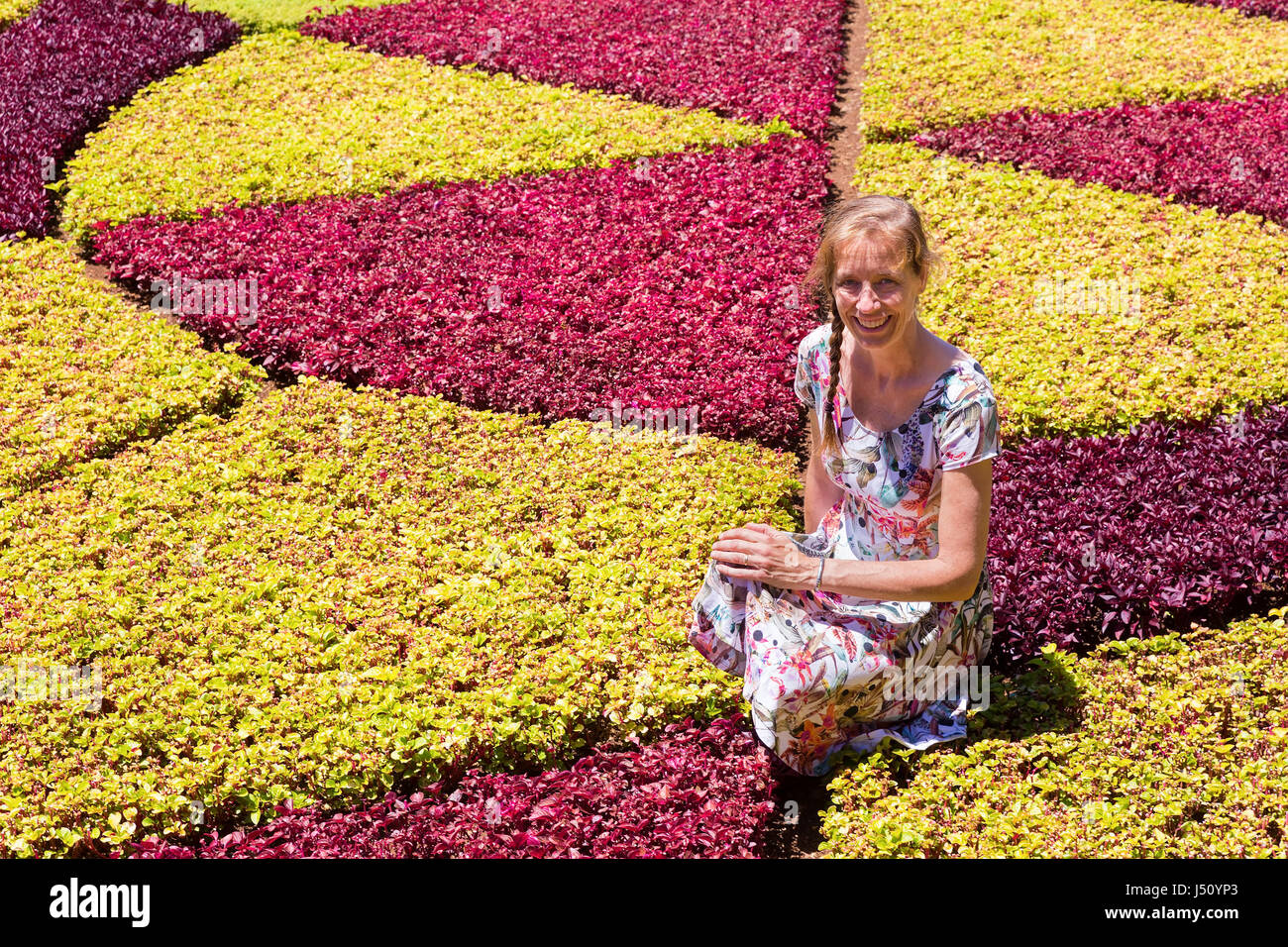 Kaukasische Frau als Tourist im Botanischen Garten Stockfoto