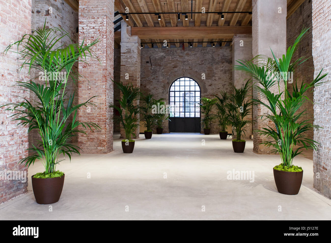 Ansicht von Pflanzen in einem großen Zimmer in Venedig Stockfoto