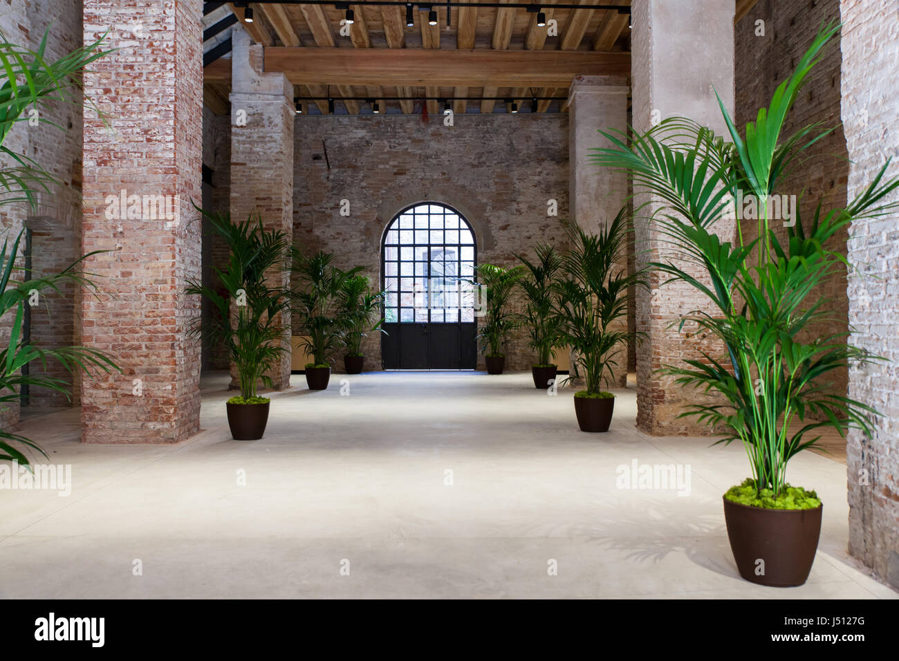 Ansicht von Pflanzen in einem großen Zimmer in Venedig Stockfoto