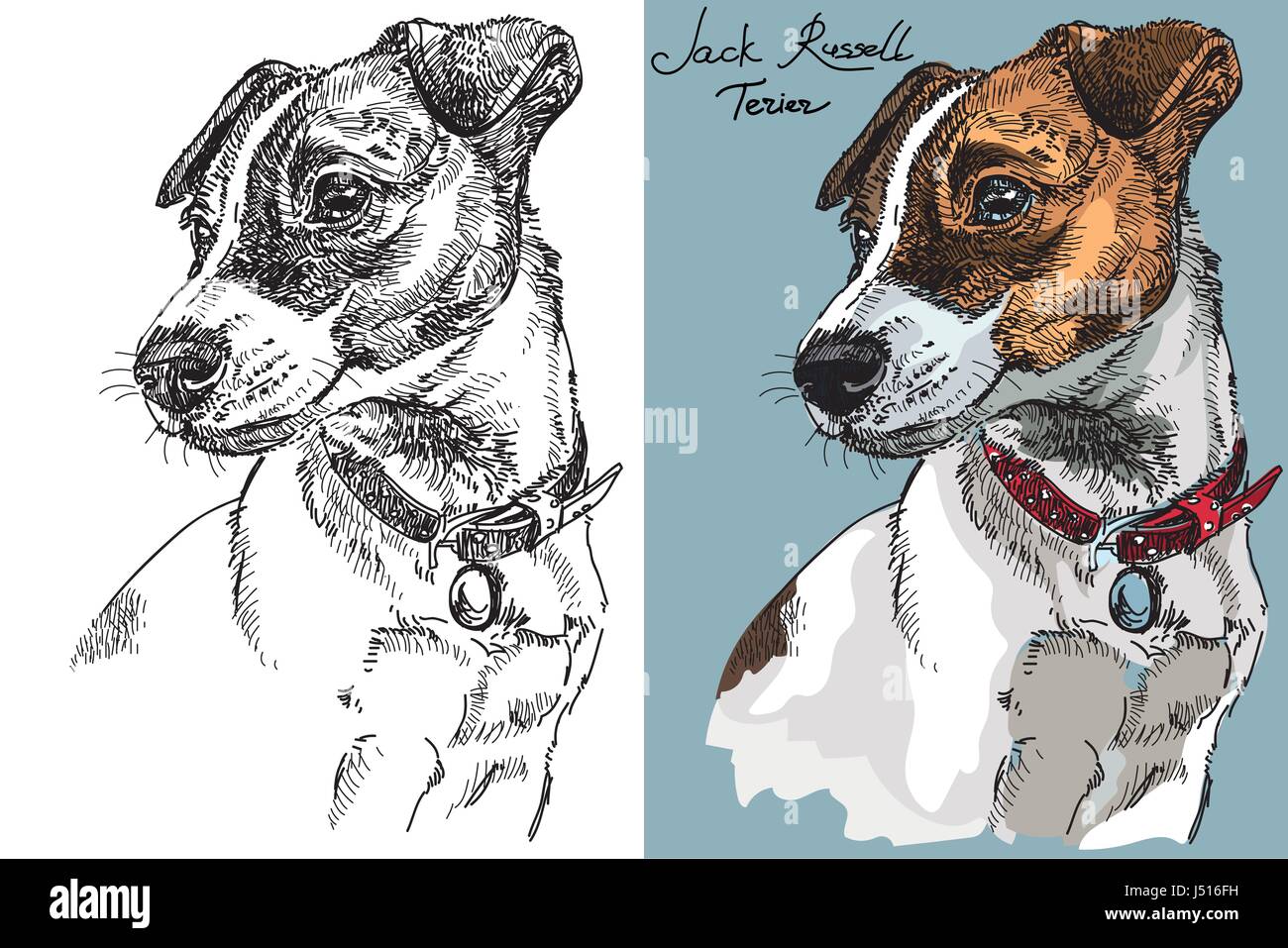 Vektor Jack Russel Terrier in Farbe und Schwarzweiß Handzeichnung Illustration Stock Vektor